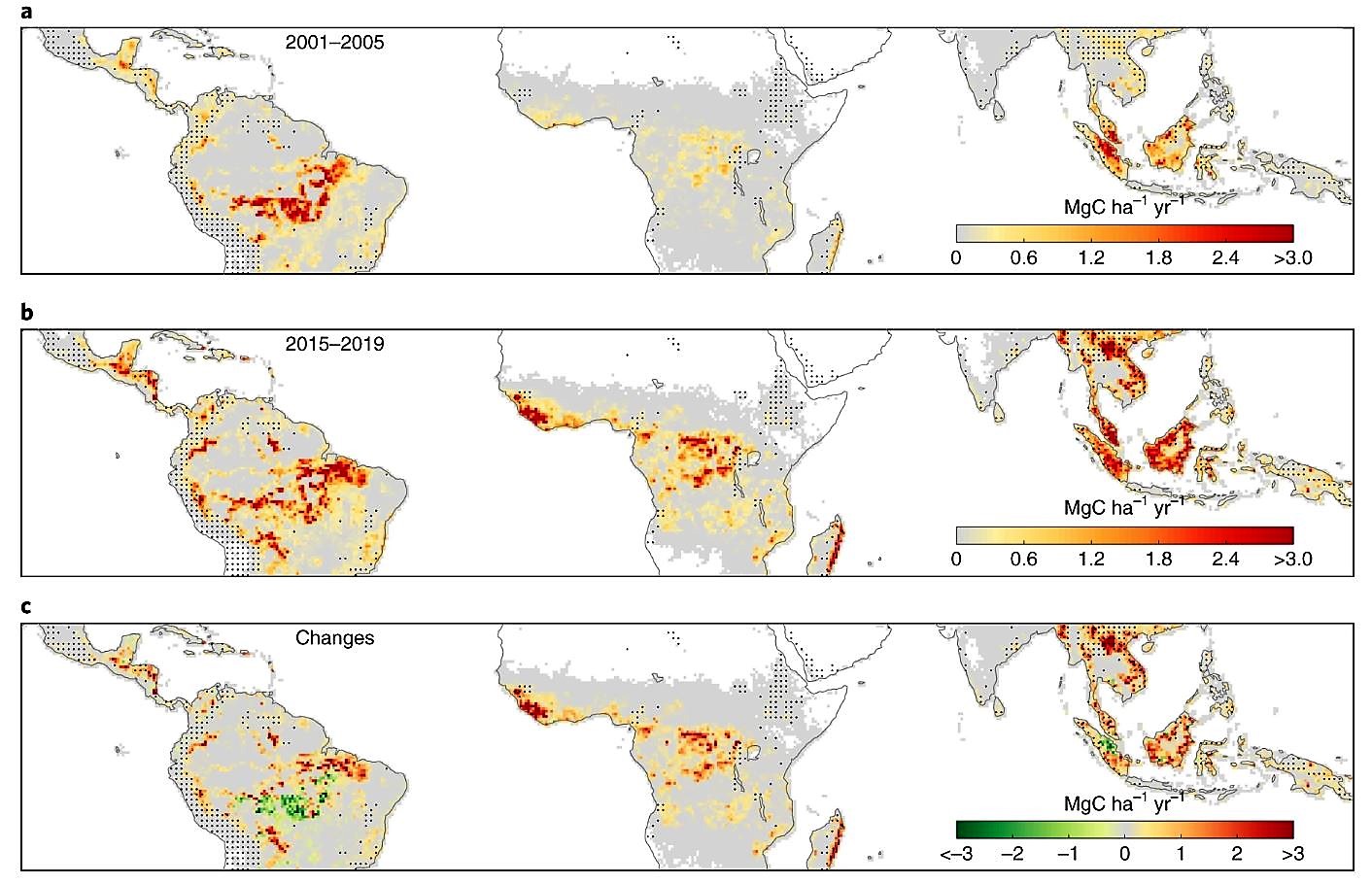 Räumliches Muster des Kohlenstoffverlustes in den Wäldern der Tropen
