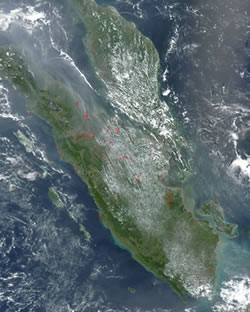 Vegetationsbrände in Indonesien