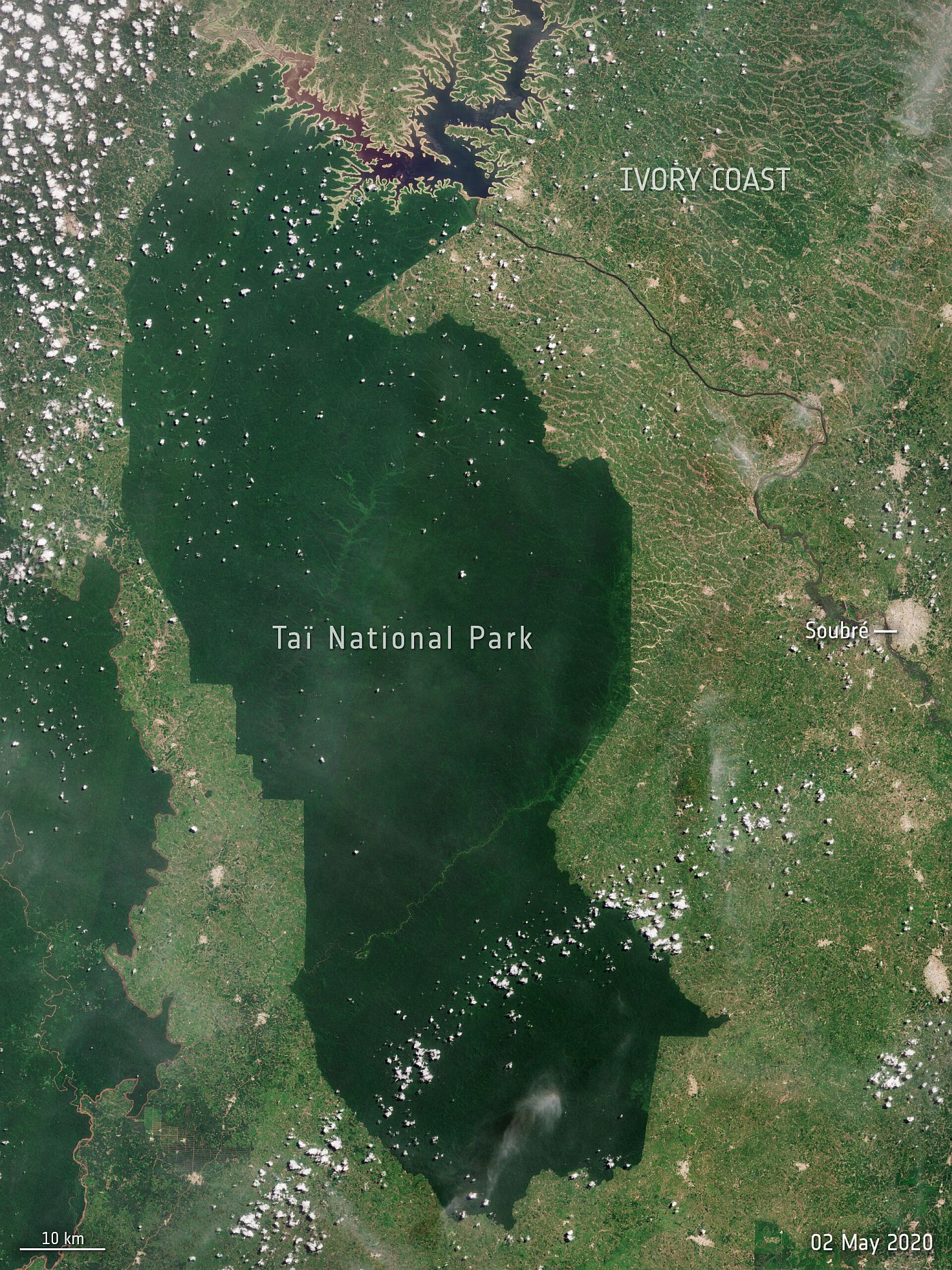 Der Taï National Park in der Elfenbeinküste umgeben von Plantagen