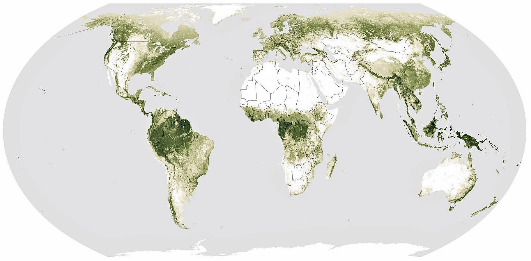 Neue globale Karte zur Darstellung der Waldhöhen