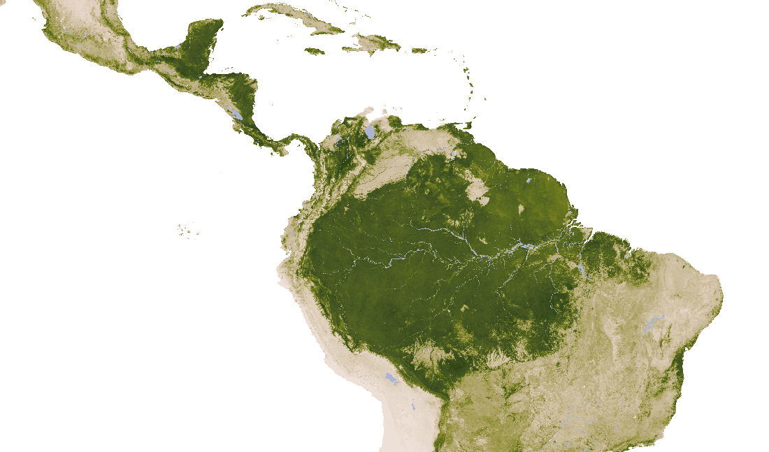Blattflächenindex - Südamerika 