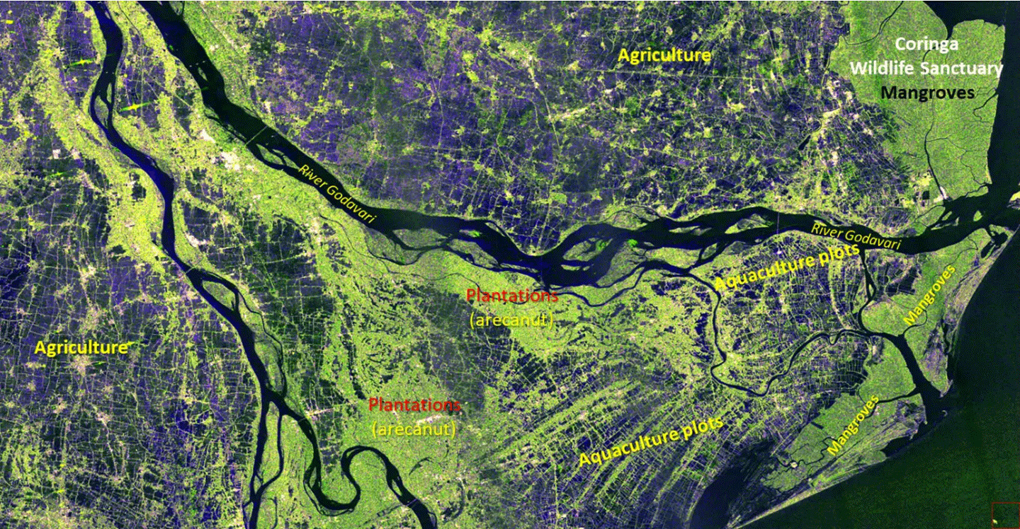 Godavari River Delta in Andhra Pradesh, Indien