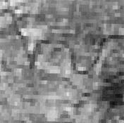 Innenstadt Berlin mit LANDSAT MSS