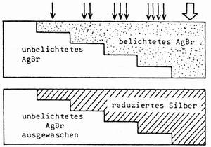 S-W-Negativproze&szlig;